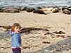 On the beach with the seals
